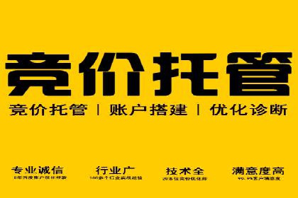 SEM运营推广策略案例分析